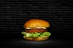 Fish Burger
